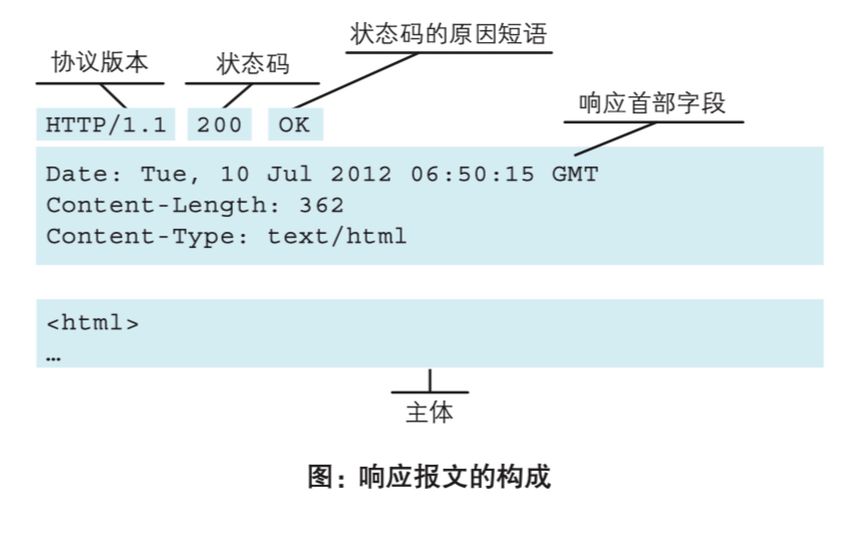 响应报文结构